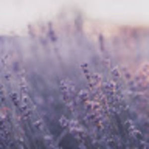 Meet your Posher, Mia